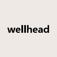 wellhead是什么意思