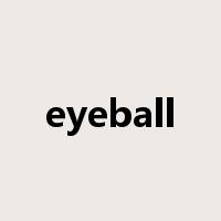 eyeball是什么意思