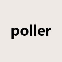 poller是什么意思