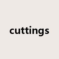 cuttings是什么意思