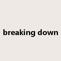 breaking down是什么意思