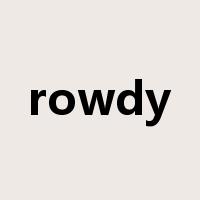 rowdy是什么意思