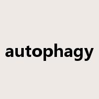 autophagy是什么意思