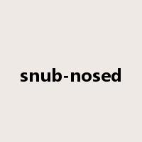 snub-nosed是什么意思
