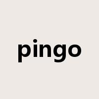 pingo是什么意思