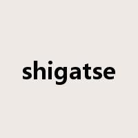 shigatse是什么意思