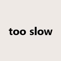 too slow是什么意思