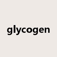 glycogen是什么意思