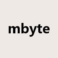 mbyte是什么意思
