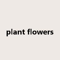 plant flowers是什么意思