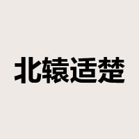 北辕适楚是什么意思