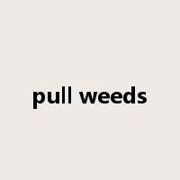 pull weeds是什么意思