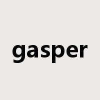 gasper是什么意思