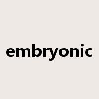 embryonic是什么意思
