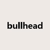 bullhead是什么意思