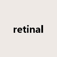 retinal是什么意思