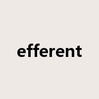 efferent是什么意思