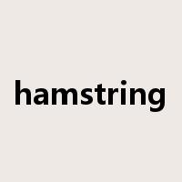 hamstring是什么意思