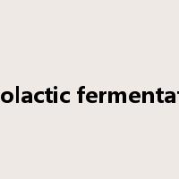 malolactic fermentation是什么意思