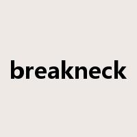 breakneck是什么意思