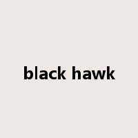 black hawk是什么意思