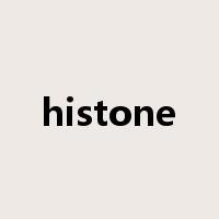 histone是什么意思
