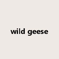 wild geese是什么意思