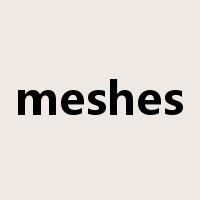 meshes是什么意思
