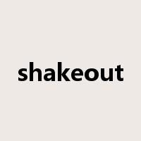 shakeout是什么意思