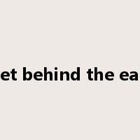 wet behind the ears是什么意思