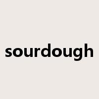 sourdough是什么意思