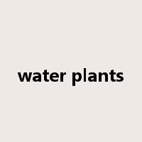 water plants是什么意思