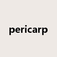pericarp是什么意思