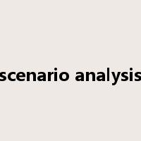 scenario analysis是什么意思