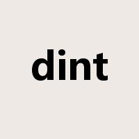 dint是什么意思