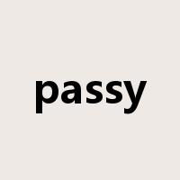 passy是什么意思
