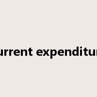 current expenditure是什么意思