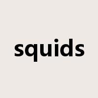 squids是什么意思