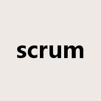 scrum是什么意思