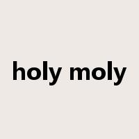 holy moly是什么意思