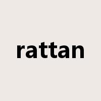 rattan是什么意思
