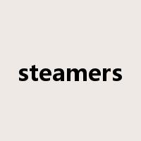 steamers是什么意思