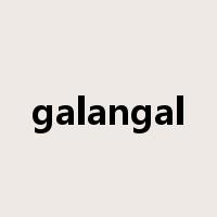 galangal是什么意思