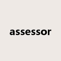 assessor是什么意思