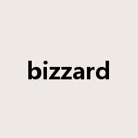 bizzard是什么意思