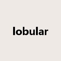 lobular是什么意思