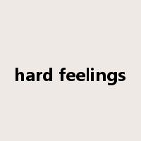 hard feelings是什么意思