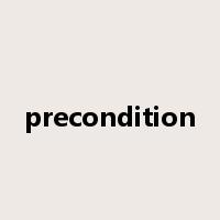 precondition是什么意思