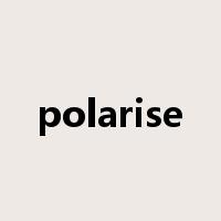 polarise是什么意思