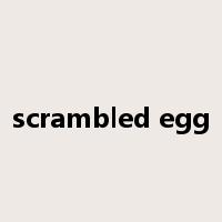 scrambled egg是什么意思